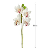 Cymbidium Orchid 30.5" Stem - White