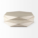 Colossal Storage Coffee Table
