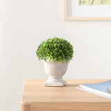 Aris 6.5h" Faux Potted Boxwood Topiary