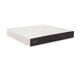 Cocoon by Sealy memory foam mattress showing comfort design