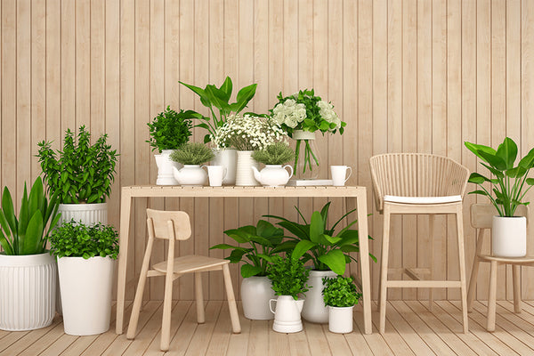 The Natural Way: Why You Must Use Plants as Home Decors