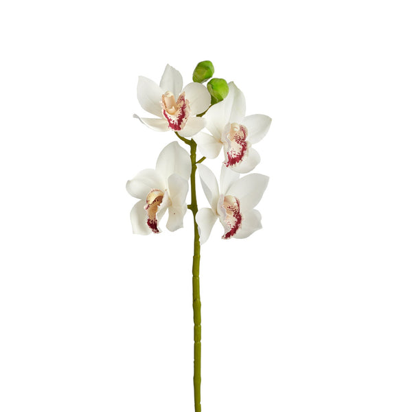Cymbidium Orchid 30.5" Stem - White