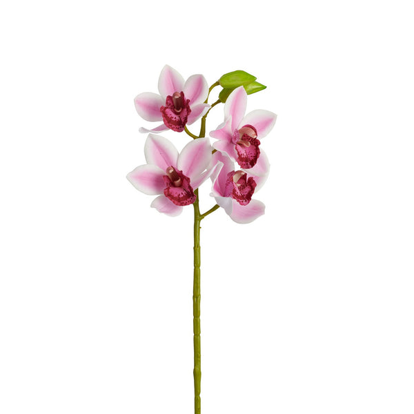 Cymbidium Orchid 30.5" Stem - Pink