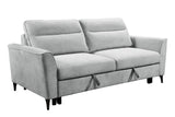 Angiola Convertible Sleeper Sofa