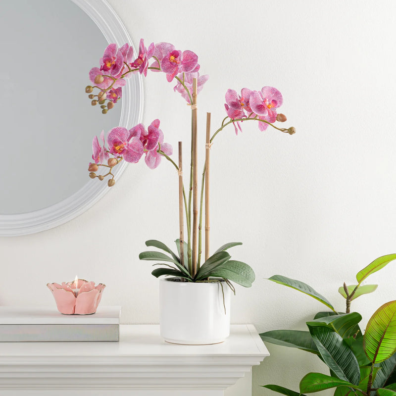 Ava Faux Potted 24h" Triple Stem Orchid - Pink