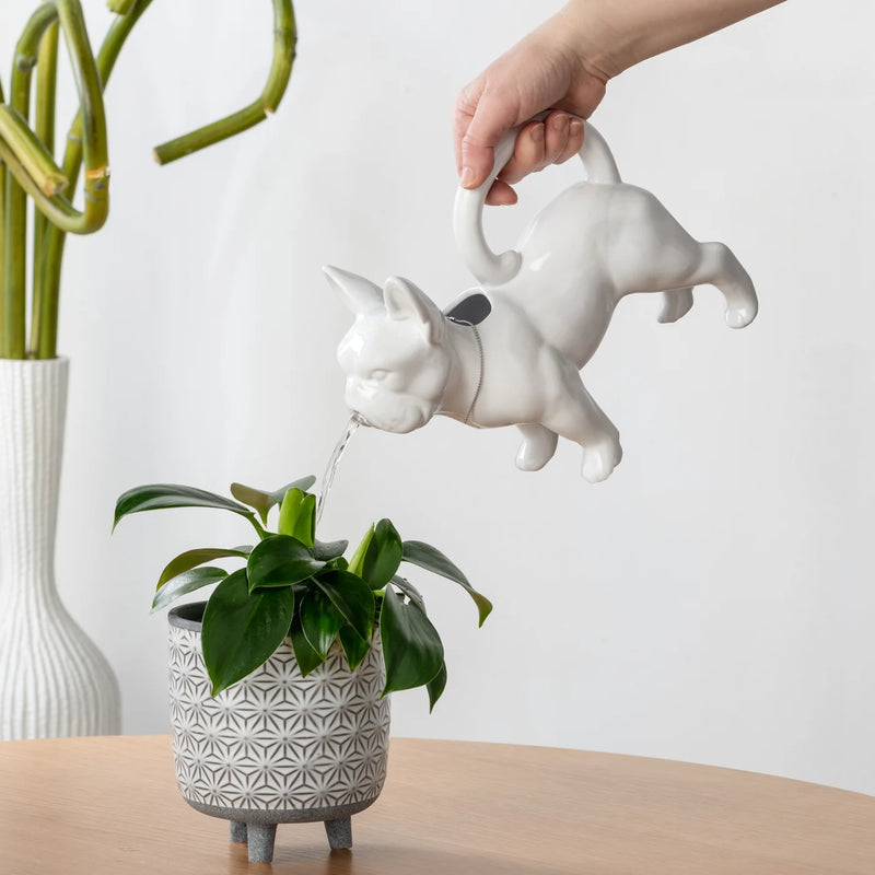 French Bulldog Ceramic Watering Can - White