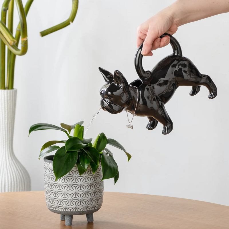French Bulldog Ceramic Watering Can - Black