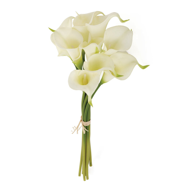 Calla Lily 15L" 9 Stem Bundle