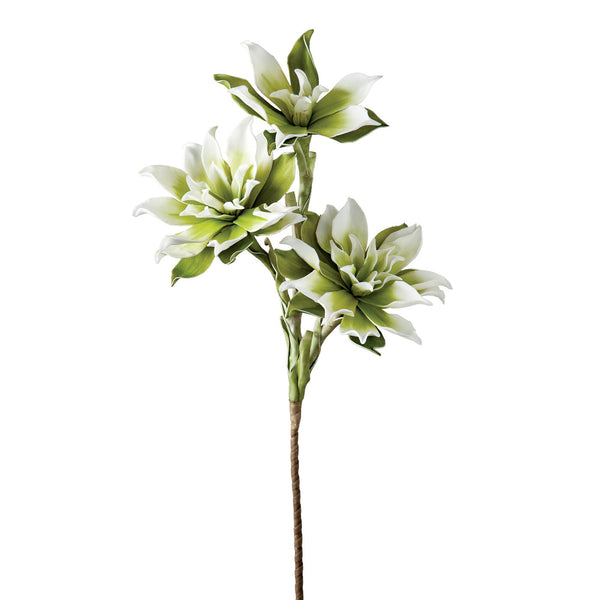 Desert Rose Lily Stem - White / Green