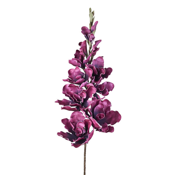 Desert Gladiolus 14 Bloom 50" Stem - Fuchsia