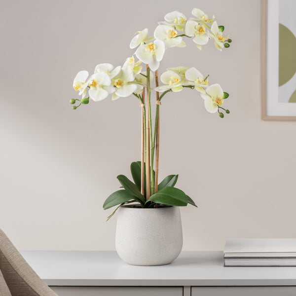 Phalaenopsis Potted 23" Faux Triple Stem Orchid - Yellow