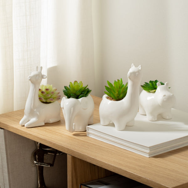 Animal Garden Ceramic Llama Potted Faux Succulent