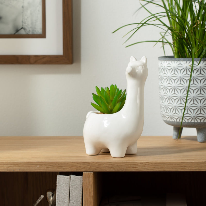 Animal Garden Ceramic Llama Potted Faux Succulent