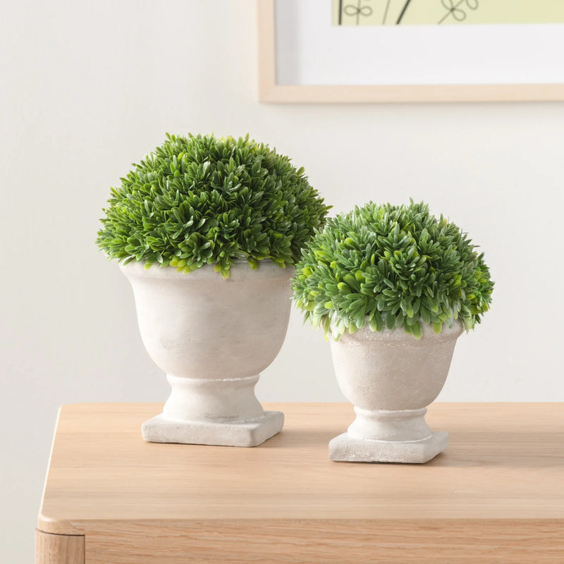 Aris 6.5h" Faux Potted Boxwood Topiary