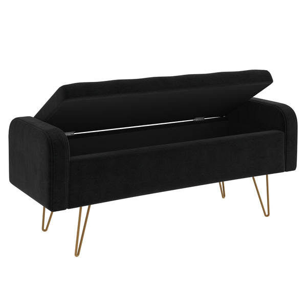 Pabel Storage Ottoman/Bench in Black with Gold Leg