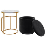Leo Accent Table & Storage Ottoman Set in Black