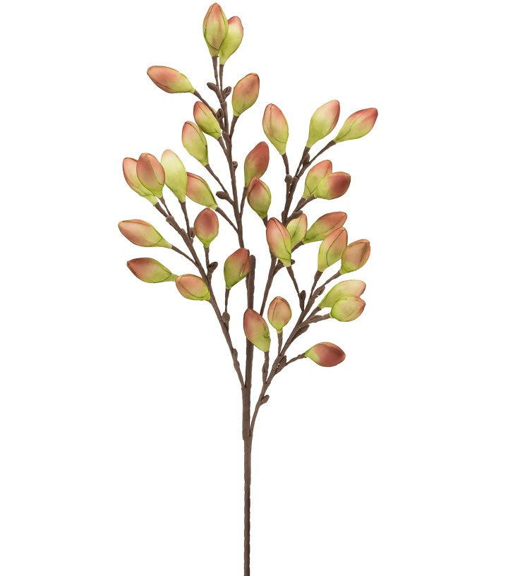 DESERT BURNISHED PODS MULTI BLOOM 39" STEM